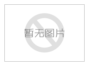 思勤海外事業(yè)部成立